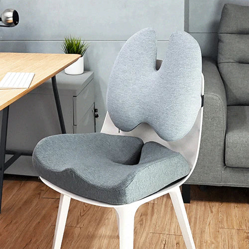 Lumbar Support Pillow The Cushion Lab Seat Cushion Reviews